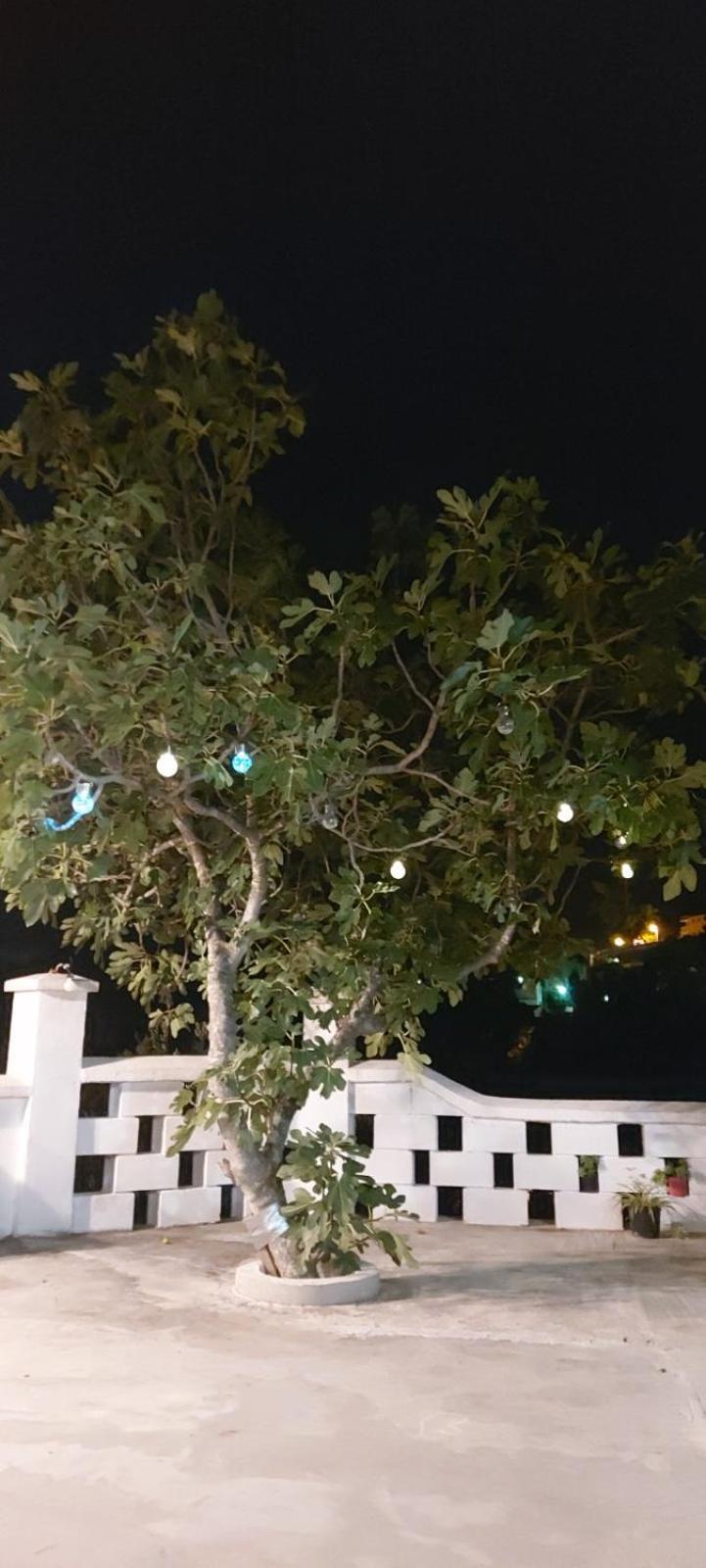 Apartment Biokovo كرفافيكا المظهر الخارجي الصورة