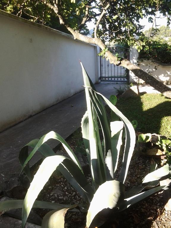 Apartment Biokovo كرفافيكا المظهر الخارجي الصورة
