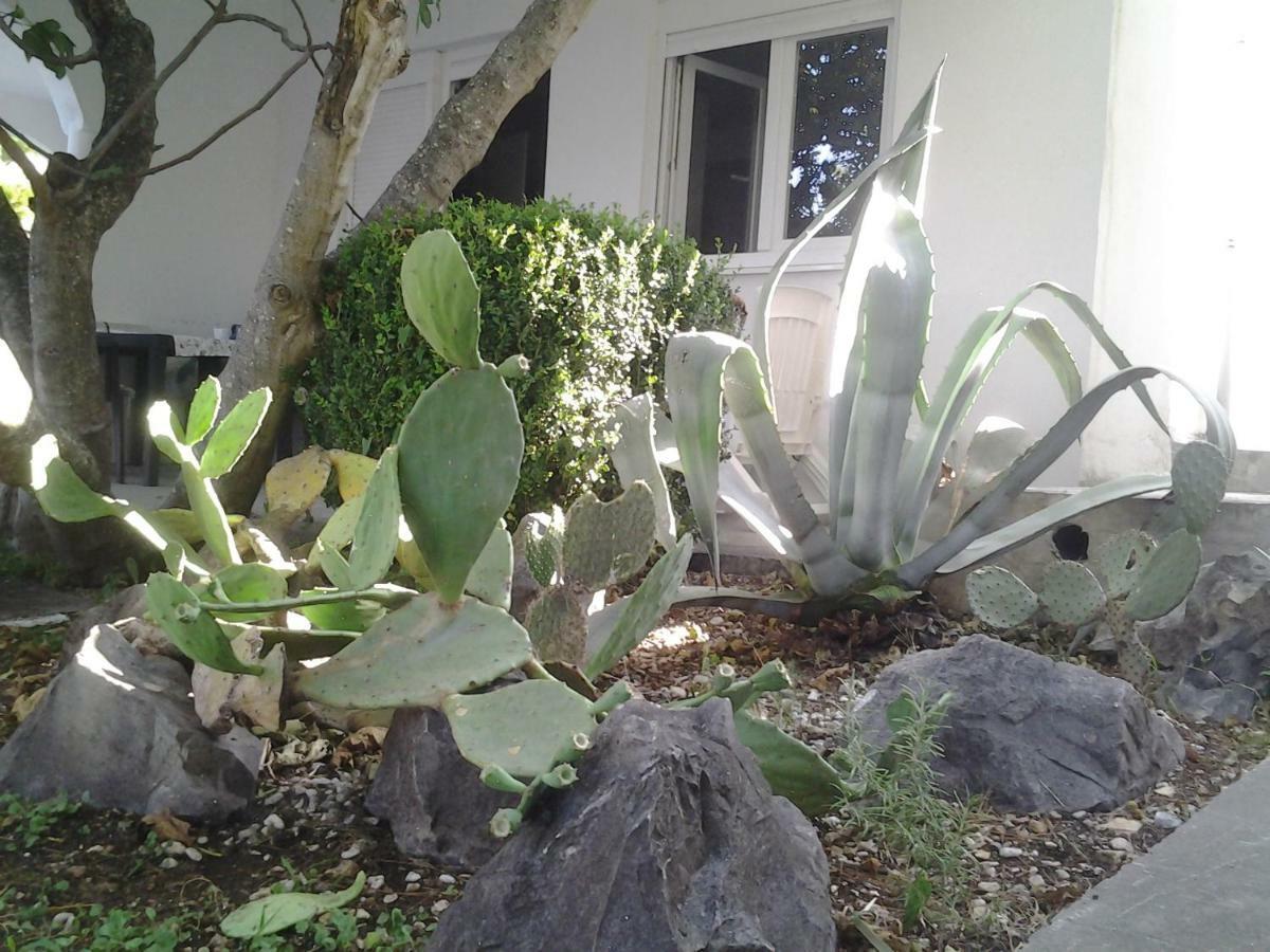 Apartment Biokovo كرفافيكا المظهر الخارجي الصورة