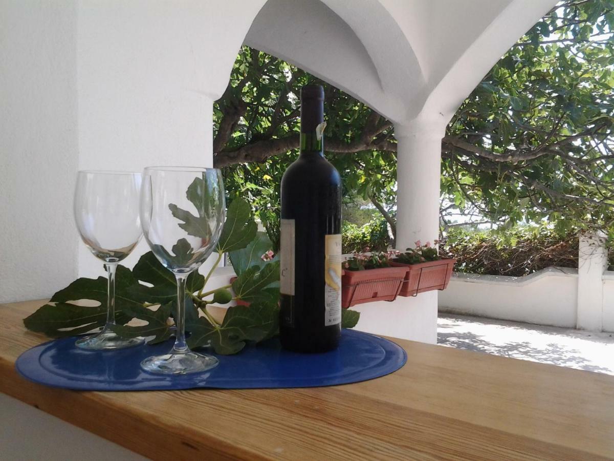 Apartment Biokovo كرفافيكا المظهر الخارجي الصورة